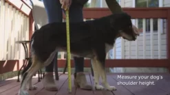 PetSafe Extreme Weather Pet Door, 3-Flap System -Pet Supply Store 1052860 VIDEO 2 480x270 1200k