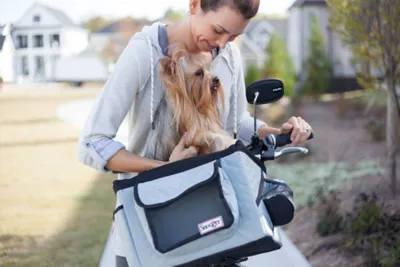 Snoozer Pet Bicycle Basket, 10 In. X 13 In. X 10 In., Compatible With Pets Up To 15 Lb., Grey/Black 3 Snoozer Pet Bicycle Basket, 10 In. X 13 In. X 10 In., Compatible With Pets Up To 15 Lb., Grey/Black - Image 3