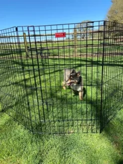 Lucky Dog 36 In. Dog Exercise Pen With Stakes -Pet Supply Store 1181036 A12