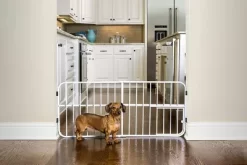Carlson Lil Tuffy Expandable Pet Gate, 26 In. To 38 In.
