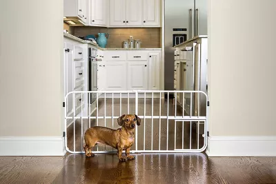 Carlson Lil Tuffy Expandable Pet Gate, 26 In. To 38 In. 1 Carlson Lil Tuffy Expandable Pet Gate, 26 In. To 38 In.