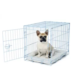 Carlson Secure 1-Door Steel Dog Crate, 24 In., Blue
