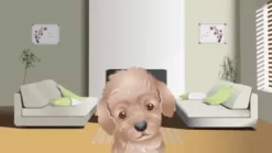 K&H Pet Products Self-Warming Pet Cot Cover 19 K&H Pet Products Self-Warming Pet Cot Cover -Pet Supply Store 1240697 VIDEO 1 480x270 1200k