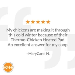 K&H Pet Products Extreme-Weather Cat Pad 15 K&H Pet Products Extreme-Weather Cat Pad -Pet Supply Store 1240741 A7