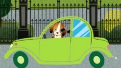 K&H Pet Products Travel Safety Pet Carrier -Pet Supply Store 1240962 VIDEO 1 480x270 1200k