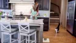 PetSafe Healthy Pet Simply Feed Power Adapter -Pet Supply Store 1258738 VIDEO 1 480x270 1200k