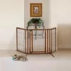 Richell Premium Plus Freestanding Pet Gate With Door