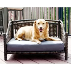 Iconic Pet Maharaja Rattan Indoor/Outdoor Pet Day Bed -Pet Supply Store 1274525 A4