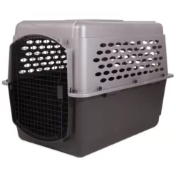 Retriever 1 Door Plastic Portable Pet Carrier -Pet Supply Store 1291955 A6