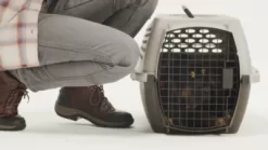 Retriever 1 Door Plastic Portable Pet Carrier -Pet Supply Store 1291955 VIDEO 1 480x270 1200k