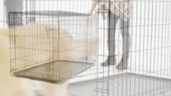 Retriever 2-Door Metal Wire Pet Crate -Pet Supply Store 1294897 VIDEO 1 480x270 1200k