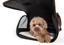 Pet Life Airline-Approved Folding Zippered Casual Pet Carrier -Pet Supply Store 1314443 A2