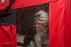 Pet Life Folding Deluxe 360 Degree Vista View House Pet Crate -Pet Supply Store 1314556 A3