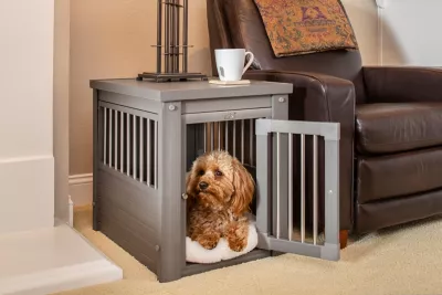 New Age Pet InnPlace 1-Door ECOFLEX Crate & End Table Made With ECOFLEX, Gray