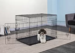 Go Pet Club 2-Door Metal Dog Crate With Divider, 42 In.