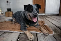 Carhartt Medium Plush Napper Dog Pad, 19 X 30 In. -Pet Supply Store 1379004 A3