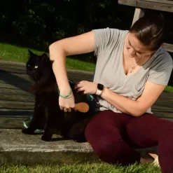 Safari Bristle Cat Brush With Bamboo Handle, W6460 BRUCAT -Pet Supply Store 1383113 A2