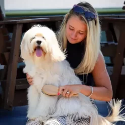 Safari Bristle Dog Brush With Bamboo Handle, Large (8.5 In. X 2.5 In.), W6446 BRSLRG -Pet Supply Store 1383115 A3