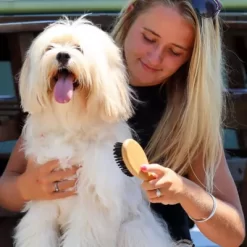 Safari Dog Bristle Brush, Bamboo, W6444 BRSSML -Pet Supply Store 1383116 A2