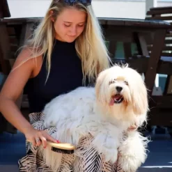 Safari Dog Bristle Brush, Bamboo, W6444 BRSSML -Pet Supply Store 1383116 A4