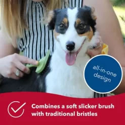 Safari Complete Dog Brush (7 In. X 4.375 In.), W423 NCL00 9 Safari Complete Dog Brush (7 In. X 4.375 In.), W423 NCL00 -Pet Supply Store 1383180 A2