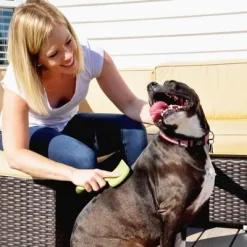 Safari Curved Firm Slicker Dog Brush, Medium (6.75 In. X 4.25 In.), W464 NCL00 -Pet Supply Store 1383182 A2