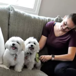 Safari Curved Firm Slicker Dog Brush (7.5 In. X 4.5 In.), W466 NCL00 -Pet Supply Store 1383183 A3