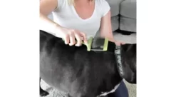 Safari Dog Flexible Slicker Brush, Medium, W424 NCL00 -Pet Supply Store 1383192 A2