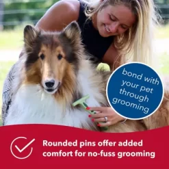 Safari Dog Single Row Undercoat Rake, Green, Medium / Large (6.5 In. L X 4.5 In. W), W6123 NCL00 -Pet Supply Store 1383202 A3