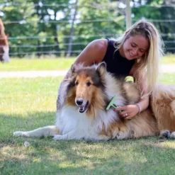 Safari Dog Double Row Undercoat Rake With Rotating Pins, Green, Medium / Large (6.25 In. L X 4.25 In. W), W6192 NCL00 -Pet Supply Store 1383203 A5