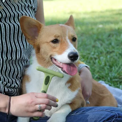 Safari Dog Single Undercoat Rake With Rotating Pins, Small (6.25 In. X 4.5 In.), W6193 NCL00 3 Safari Dog Single Undercoat Rake With Rotating Pins, Small (6.25 In. X 4.5 In.), W6193 NCL00 - Image 3