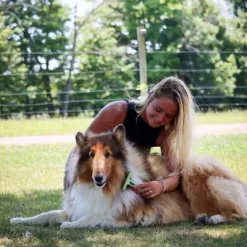 Safari Dog Single Undercoat Rake With Rotating Pins, Small (6.25 In. X 4.5 In.), W6193 NCL00 8 Safari Dog Single Undercoat Rake With Rotating Pins, Small (6.25 In. X 4.5 In.), W6193 NCL00 -Pet Supply Store 1383204 A3