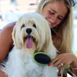 Safari Plastic Pin And Bristle Combo Brush, Large, W6152 CMBLRG -Pet Supply Store 1383210 A2