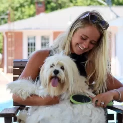 Safari Plastic Pin And Bristle Combo Brush, Large, W6152 CMBLRG -Pet Supply Store 1383210 A3