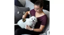 Safari Pin And Bristle Combo Dog Brush With Bamboo Handle, Comb, Medium, W6451 CMBMED 9 Safari Pin And Bristle Combo Dog Brush With Bamboo Handle, Comb, Medium, W6451 CMBMED -Pet Supply Store 1383211 A2