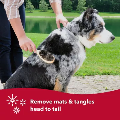 Safari Pin And Bristle Combo Dog Brush With Bamboo Handle, Comb, Medium, W6451 CMBMED 5 Safari Pin And Bristle Combo Dog Brush With Bamboo Handle, Comb, Medium, W6451 CMBMED - Image 5