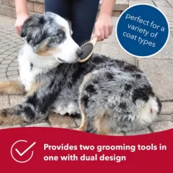 Safari Pin And Bristle Combo Dog Brush With Bamboo Handle, W6452 CMBLRG -Pet Supply Store 1383212 A2