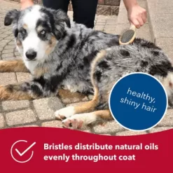 Safari Pin And Bristle Combo Dog Brush With Bamboo Handle, W6452 CMBLRG -Pet Supply Store 1383212 A3