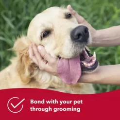 Safari Pin And Bristle Combo Dog Brush With Bamboo Handle, W6452 CMBLRG -Pet Supply Store 1383212 A5