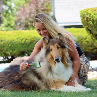 Safari Shed Magic Dog Deshedding Tool, W6127 NCL00 3 Safari Shed Magic Dog Deshedding Tool, W6127 NCL00 - Image 3