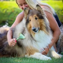 Safari Shed Magic Dog Deshedding Tool For Dogs With Medium To Long Hair, W6125 NCL00 -Pet Supply Store 1383216 A3