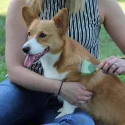 Safari Shed Magic Dog Deshedding Tool For Dogs With Short To Medium Hair, W6325 NCL00 7 Safari Shed Magic Dog Deshedding Tool For Dogs With Short To Medium Hair, W6325 NCL00 -Pet Supply Store 1383219 A2