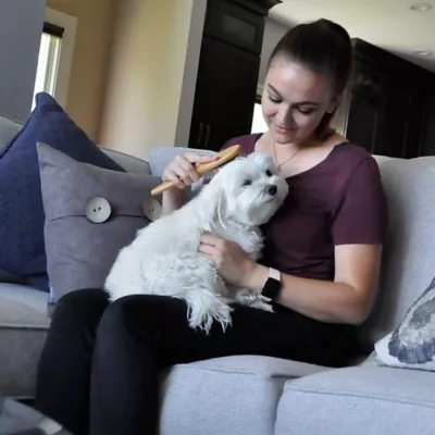 Safari Wire Pin Dog Brush With Bamboo Handle, Pin, Small (7.75 In. L X 2.25 In. W), W6441 PINSML 2 Safari Wire Pin Dog Brush With Bamboo Handle, Pin, Small (7.75 In. L X 2.25 In. W), W6441 PINSML - Image 2