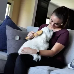 Safari Wire Pin Dog Brush With Bamboo Handle, Pin, Small (7.75 In. L X 2.25 In. W), W6441 PINSML 7 Safari Wire Pin Dog Brush With Bamboo Handle, Pin, Small (7.75 In. L X 2.25 In. W), W6441 PINSML -Pet Supply Store 1383222 A2