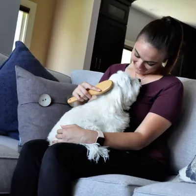 Safari Wire Pin Dog Brush With Bamboo Handle, Pin, Small (7.75 In. L X 2.25 In. W), W6441 PINSML 3 Safari Wire Pin Dog Brush With Bamboo Handle, Pin, Small (7.75 In. L X 2.25 In. W), W6441 PINSML - Image 3