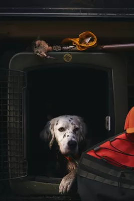 Dakota 283 G3 Framed Door Kennel, Large, Olive 6 Dakota 283 G3 Framed Door Kennel, Large, Olive - Image 6