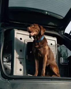 Dakota 283 Side Entry Kennel - Medium - Dark Granite -Pet Supply Store 1433923 A2