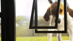 PetSafe Pet Screen Door, Large 15 PetSafe Pet Screen Door, Large -Pet Supply Store 1460319 VIDEO 1 480x270 1200k