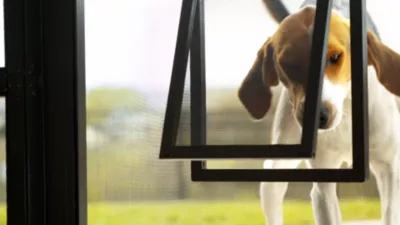 PetSafe Pet Screen Door, Large 8 PetSafe Pet Screen Door, Large - Image 8