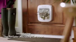 PetSafe Microchip Cat Door Flap -Pet Supply Store 1460338 VIDEO 1 480x270 1200k